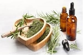 کسب موفقیت در اخذ اعتبار پژوهشی گیاهان دارویی و طب سنتی